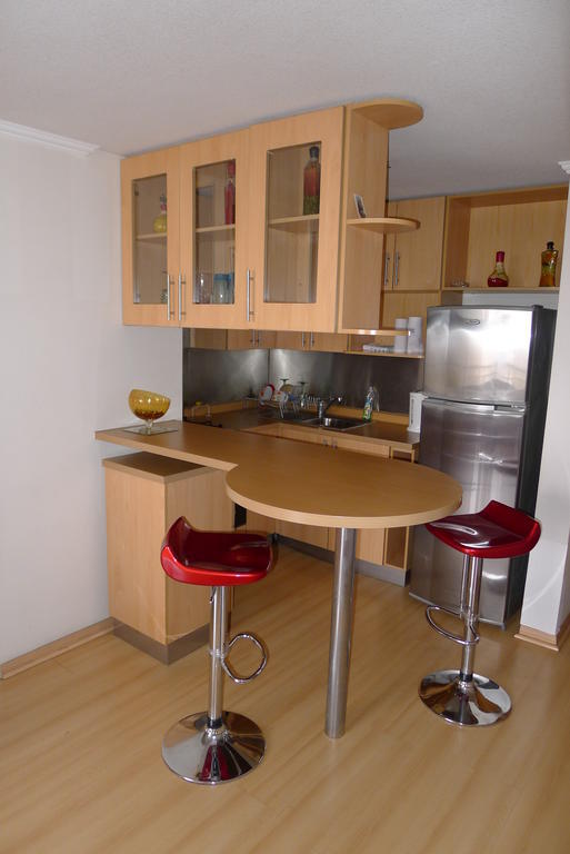 Chilean Suites Providencia サンティアゴ 部屋 写真